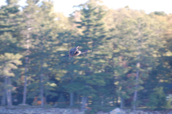 3aecde06-6820-4cdb-ac5f-94a197cf4ac9