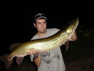 3afe352c-baf5-4c8f-b526-7cf77a4a20ae