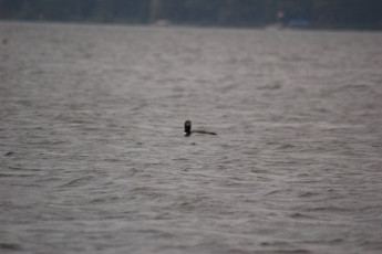 3b84899e-c396-489c-98dd-e1daf65906a4