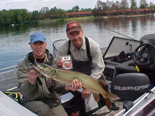 3c186936-dfc1-403a-ae2b-e44c904524fd