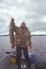 3cf60a95-5a6b-4120-9a1f-e29513da89e0