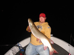 3d2c7906-1f4f-4662-b745-836000c67458