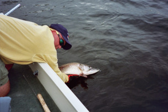 3d65d7f0-7f0e-40be-9f07-a8d5d09b293c