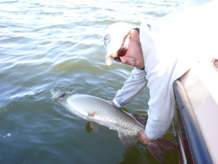 3d91e726-283a-4540-b4ab-a2601b2395bf