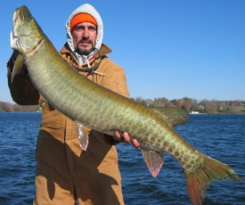 3e2acc2c-cd80-407c-b5b1-e9a419eae3b3