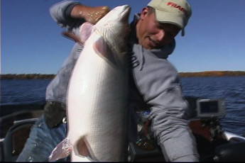 3f6e6adf-b58e-4107-bd90-f89056bcc032