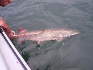 3f83d382-6092-4cb9-8914-e13c118be51b