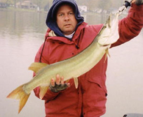 3fc72d84-41c4-488a-b504-436409b416ef