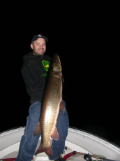 d1befc52-b1f0-4dee-ac72-e5ab1b21ecd4