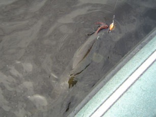 40626269-DC36-445F-BDDD-BF9F39E30316