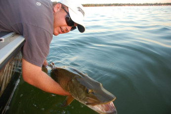 40727026-B9A4-4F14-82EF-649D4D7A22BC