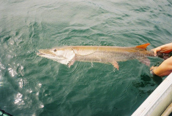 409aab1b-7043-43a2-b9ea-f6a2d5a32f89