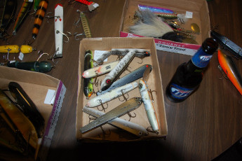 40B81F8C-8A57-4D86-8C13-86BDB1397DF3