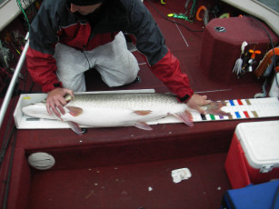 40a8b4a2-f89c-4d73-beeb-48af1ae6b351