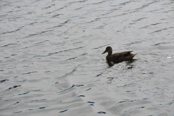 411872AC-AB3C-40A4-A9BF-6173227283A9