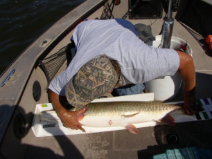 4136a437-c7dd-4a73-a37b-0e6a5628a232