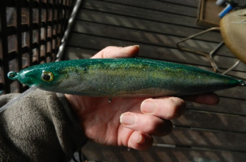 4184D4EA-5B69-4806-801C-28509B329F02