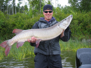 41d65a33-1ebd-47cc-8903-500a0404d35f