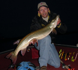 4222c891-f2d5-4e78-80ae-de70e04ac8dc