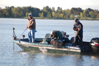 42265743-0d3e-4c66-8f81-2c7293048ea1