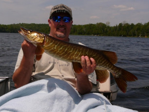 4241A6A7-9D64-45E1-A575-91BC122671C4