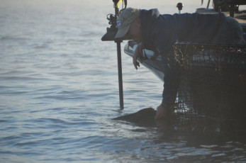 428831C8-10FB-4F79-95BD-35F5EF7A1E83