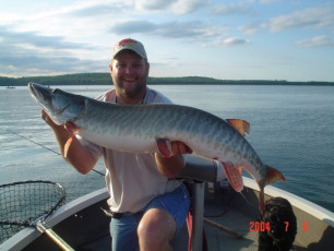 42959f68-f4b5-4071-ab7d-54996628c5d5