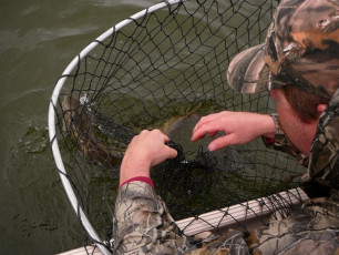 42E51D12-3167-41C1-9E9F-F06194C2469E