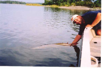 430c7d93-a54b-4bb5-8e8c-126e2a83d509