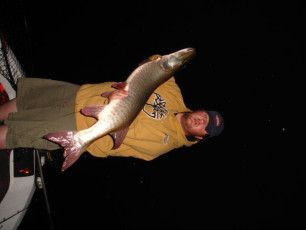 43152d36-fb70-4cb2-943c-587922192603