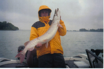 431bc173-f697-4b28-95de-03ad2c95f650