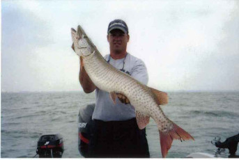 435d4282-4013-473e-aaa8-e0fea408208d