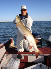 4396829f-f7b6-4641-94e4-128c1a91aa1e