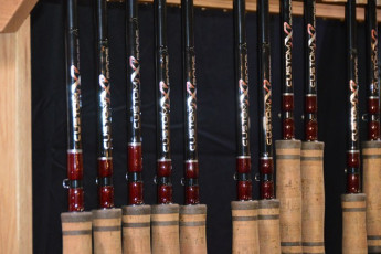 43981658-55B9-4327-8148-F4DFC700B81A