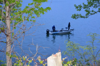 43F9CEAA-5F75-4554-AFCE-3E3A4CA61202