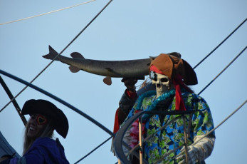 446DB379-8F40-47C9-8EC0-1943EC66981A