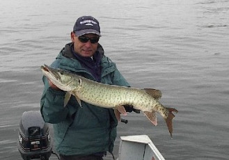 446c5003-ab4e-44e5-8360-95bc1c82e875