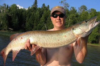 44DCDB92-5305-4ED4-8638-C4C3E6294895