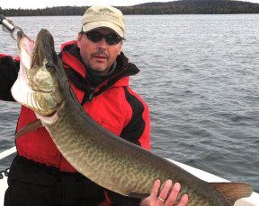 44F8AE41-483F-4DE9-8369-A36E2B3D4110