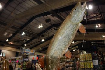 450421E6-B76D-46EE-9647-D4D28AEAADD0