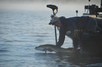 4504F6E1-45C8-482B-9572-53F6D7ED7E65