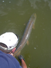 46493718-38C1-46B4-856E-7605C889BAE7