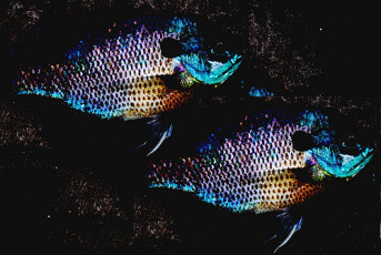 468DD6F4-39EA-4AD0-9DE8-4009A7AA73C9