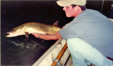 46B28F16-4CD3-4149-9D24-DF9549189FA8