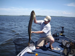 46B67C86-3640-4896-A54B-3D4759C911D1