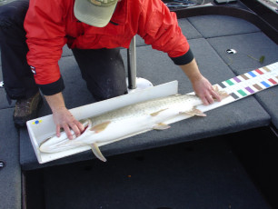 46d3a98b-12b3-4425-a70f-16f6fbf1bda9