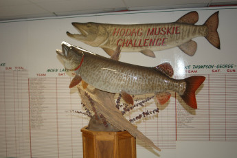 4705AA5E-6E40-4058-ACE8-59A009E33000