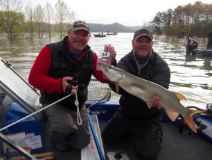 472AE20E-4A60-4FD3-B2F7-33EB62648529