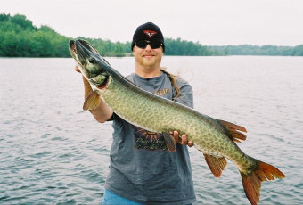 4733b46c-40c9-4c85-b4f4-74631fbcd94c