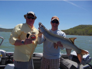 473A8595-8107-4950-AF17-319440D5C53A